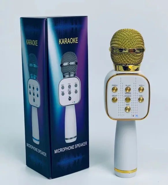 Microphone karaoke V668